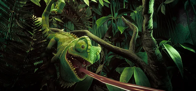 A chameleon in the reptile tank